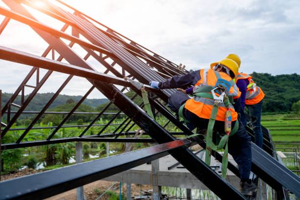 Best Local Roofing Companies  in Moweaqua, IL
