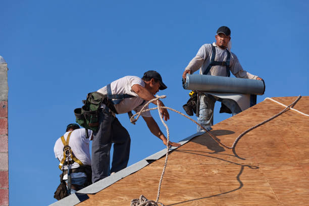 Best Roof Installation Near Me  in Moweaqua, IL