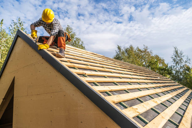 Best Roof Leak Repair  in Moweaqua, IL