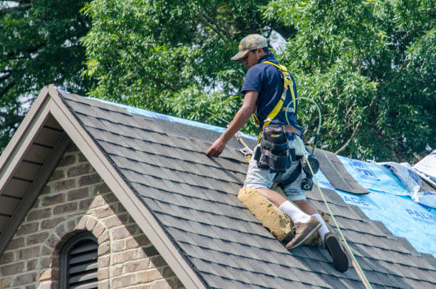 Best Roof Maintenance Services  in Moweaqua, IL